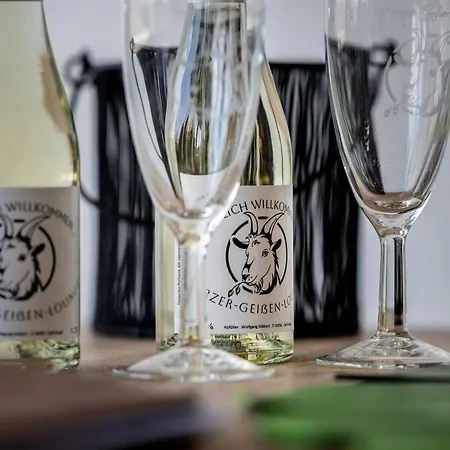 Harzer-geissen Lounge شقة Hohegeiß